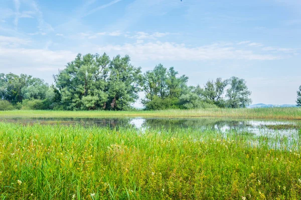 Avusturya 'nın Bregenz kenti yakınlarındaki Bodensee' ye giden bir kanalın görüntüsü