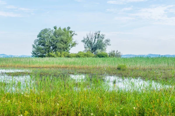 Avusturya 'nın Bregenz kenti yakınlarındaki Bodensee' ye giden bir kanalın görüntüsü