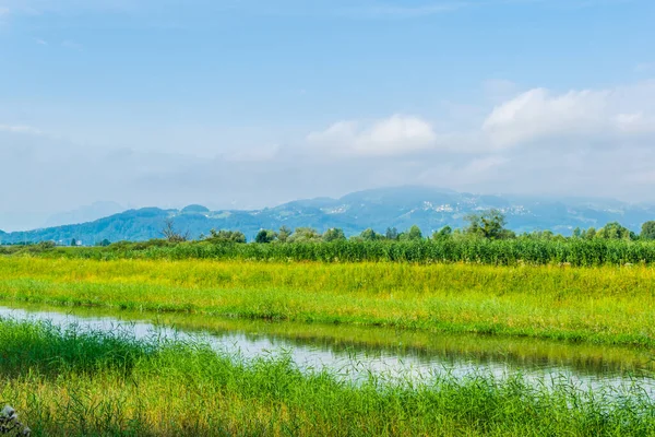 Avusturya 'nın Bregenz kenti yakınlarındaki Bodensee' ye giden bir kanalın görüntüsü
