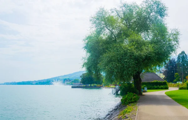 View Lakeside Promenade Swiss Town Rorschac — Stock Fotó