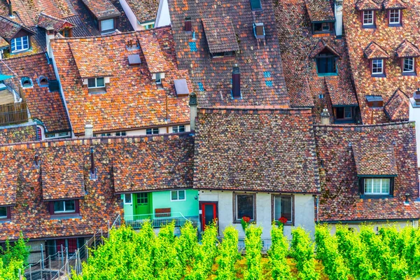 Aerial View Tiled Roof Vineyard Swiss City Schaffhause — Stock Photo, Image