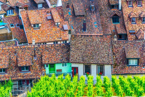 Aerial View Tiled Roof Vineyard Swiss City Schaffhause — Stock Photo, Image