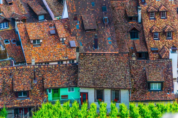 Aerial View Tiled Roof Vineyard Swiss City Schaffhause — Stock Photo, Image