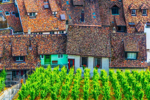 Aerial View Tiled Roof Vineyard Swiss City Schaffhause — Stock Photo, Image