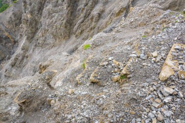 Detail of the fuerstensteig hiking trail in the principality of liechtenstein.