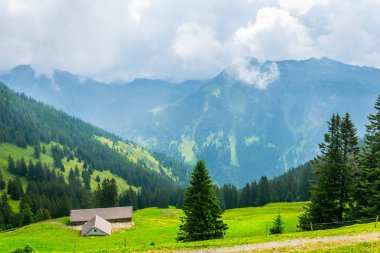 view of an alpine pasture in liechtenstein.