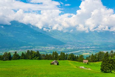 Lihtenştayn 'daki bir çayırın manzarası.