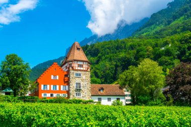 Lihtenştayn 'daki ünlü kırmızı evin manzarası.