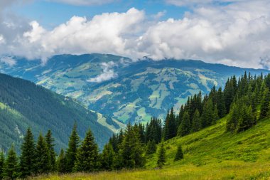 Avusturya 'nın Salzburg bölgesindeki Zell am yakınlarındaki ünlü Pinzgauer spaziergang yürüyüş yolu boyunca uzanan Alpleri görüyorsunuz..