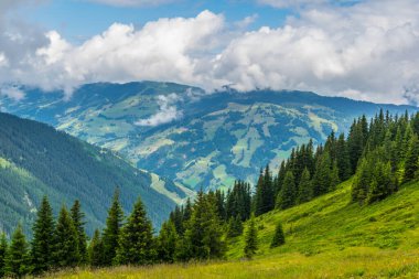 Avusturya 'nın Salzburg bölgesindeki Zell am yakınlarındaki ünlü Pinzgauer spaziergang yürüyüş yolu boyunca uzanan Alpleri görüyorsunuz..