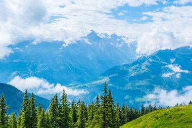 Avusturya 'nın Salzburg bölgesindeki Zell am yakınlarındaki ünlü Pinzgauer spaziergang yürüyüş yolu boyunca uzanan Alpleri görüyorsunuz..