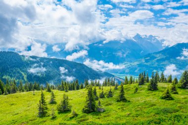 Avusturya 'nın Salzburg bölgesindeki Zell am yakınlarındaki ünlü Pinzgauer spaziergang yürüyüş yolu boyunca uzanan Alpleri görüyorsunuz..