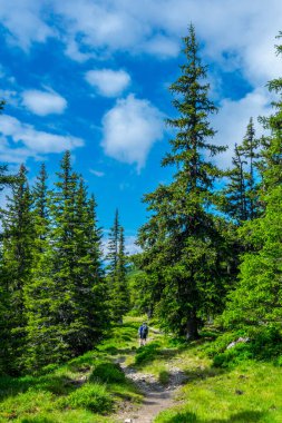 Avusturya 'nın Salzburg bölgesindeki Zell am yakınlarındaki ünlü Pinzgauer spaziergang yürüyüş yolu boyunca uzanan Alpleri görüyorsunuz..