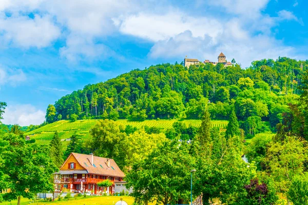 Zamek Hohenklingen Położony Wzgórzu Nad Miastem Stein Rhein Szwajcarii — Zdjęcie stockowe