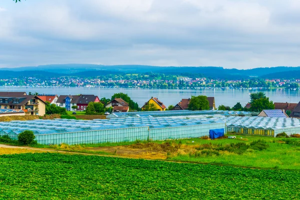 Aerial View Island Reichenau Lake Constance German — Foto de Stock