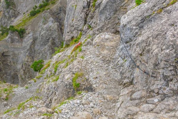 Detail Turistické Stezky Fürstensteig Lihovarském Knížectví — Stock fotografie