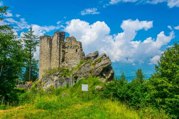Lihtenştayn 'daki Schalun / Wildschloss harabesi.