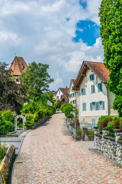 Beautiful House Built According Style Traditional Architecture Mitteldorf Area Vaduz — Foto de Stock
