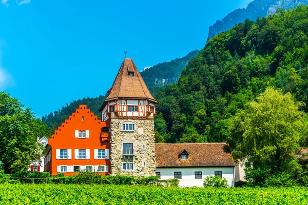 View Famous Red House Liechtenstein — Photo