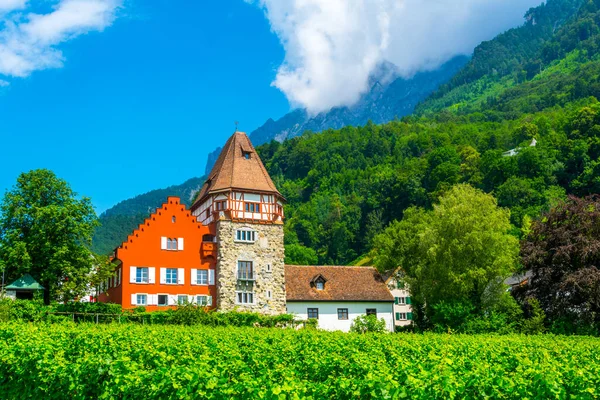 Lihtenştayn 'daki ünlü kırmızı evin manzarası.