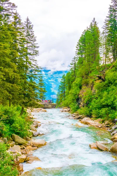 Avusturya 'daki en yüksek şelale olan Krimmml Şelalesi manzarası.