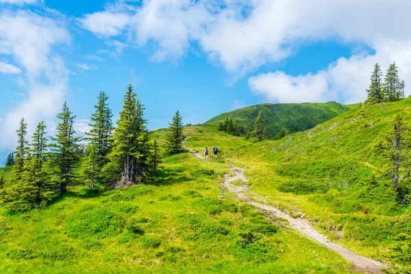 Avusturya 'nın Salzburg bölgesindeki Zell am yakınlarındaki ünlü Pinzgauer spaziergang yürüyüş yolu boyunca uzanan Alpleri görüyorsunuz..