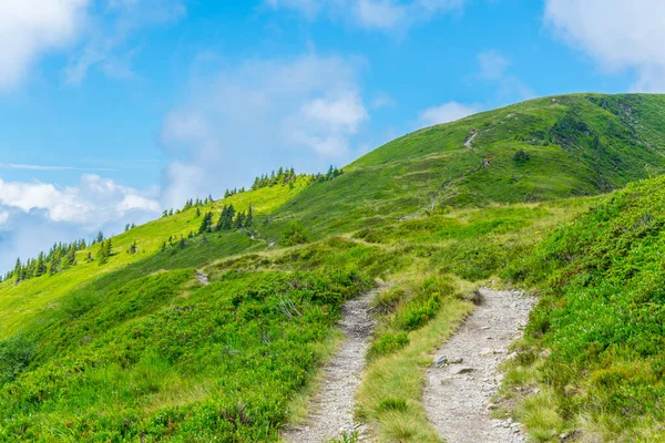 Avusturya 'nın Salzburg bölgesindeki Zell am yakınlarındaki ünlü Pinzgauer spaziergang yürüyüş yolu boyunca uzanan Alpleri görüyorsunuz..