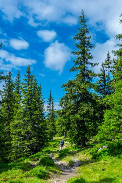 Avusturya 'nın Salzburg bölgesindeki Zell am yakınlarındaki ünlü Pinzgauer spaziergang yürüyüş yolu boyunca uzanan Alpleri görüyorsunuz..