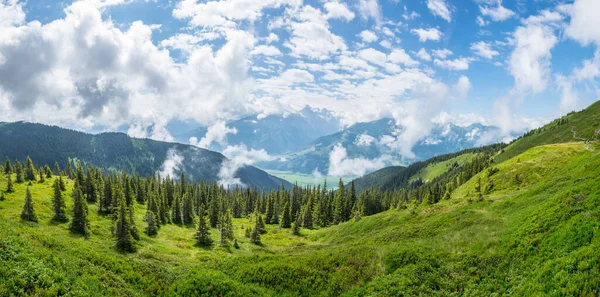 Avusturya 'nın Salzburg bölgesindeki Zell am yakınlarındaki ünlü Pinzgauer spaziergang yürüyüş yolu boyunca uzanan Alpleri görüyorsunuz..