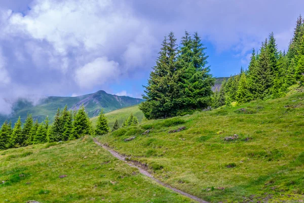 Avusturya 'nın Salzburg bölgesindeki Zell am yakınlarındaki ünlü Pinzgauer spaziergang yürüyüş yolu boyunca uzanan Alpleri görüyorsunuz..