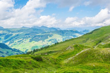 Avusturya 'nın Salzburg bölgesindeki Zell am yakınlarındaki ünlü Pinzgauer spaziergang yürüyüş yolu boyunca uzanan Alpleri görüyorsunuz..