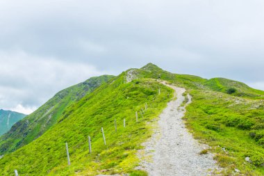 Avusturya 'nın Salzburg bölgesindeki Zell am yakınlarındaki ünlü Pinzgauer spaziergang yürüyüş yolu boyunca uzanan Alpleri görüyorsunuz..