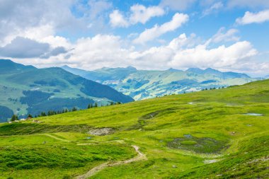 Avusturya 'nın Salzburg bölgesindeki Zell am yakınlarındaki ünlü Pinzgauer spaziergang yürüyüş yolu boyunca uzanan Alpleri görüyorsunuz..