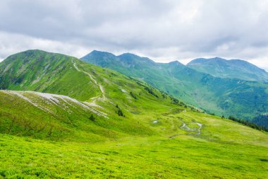 Avusturya 'nın Salzburg bölgesindeki Zell am yakınlarındaki Alplerdeki Pinzgauer spaziergang yürüyüş yolunun manzarası..
