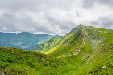 Avusturya 'nın Salzburg bölgesindeki Zell am yakınlarındaki Alplerdeki Pinzgauer spaziergang yürüyüş yolunun manzarası..