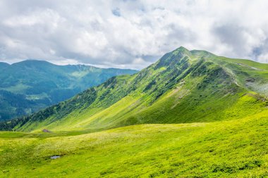 Avusturya 'nın Salzburg bölgesindeki Zell am yakınlarındaki Alplerdeki Pinzgauer spaziergang yürüyüş yolunun manzarası..