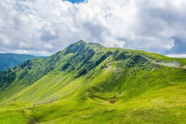 Avusturya 'nın Salzburg bölgesindeki Zell am yakınlarındaki Alplerdeki Pinzgauer spaziergang yürüyüş yolunun manzarası..