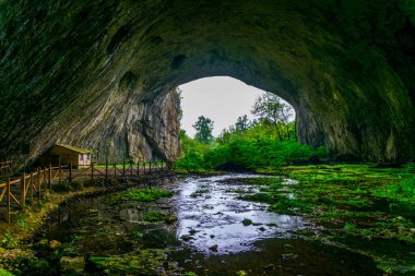 Bulgaristan 'daki Devetashka mağarası, Lovech yakınlarında.
