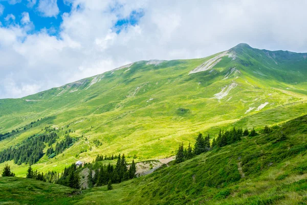 Avusturya 'nın Salzburg bölgesindeki Zell am yakınlarındaki ünlü Pinzgauer spaziergang yürüyüş yolu boyunca uzanan Alpleri görüyorsunuz..