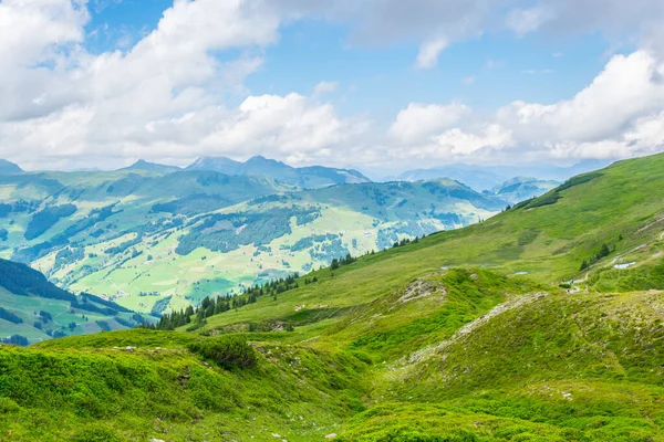 Avusturya 'nın Salzburg bölgesindeki Zell am yakınlarındaki ünlü Pinzgauer spaziergang yürüyüş yolu boyunca uzanan Alpleri görüyorsunuz..