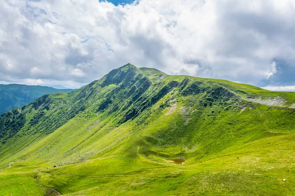 Vista Famosa Trilha Caminhada Pinzgauer Spaziergang Nos Alpes Perto Zell — Fotografia de Stock