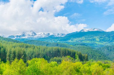 Bir ormanın üzerinde duran Pirin Dağları, Bulgari