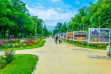 İnsanlar Kazanlak, Bulgari 'deki gül bahçesinde geziniyorlar.