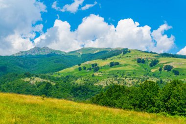 Bulgari 'deki Orta Balkan ulusal parkı