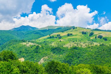 Bulgari 'deki Orta Balkan ulusal parkı