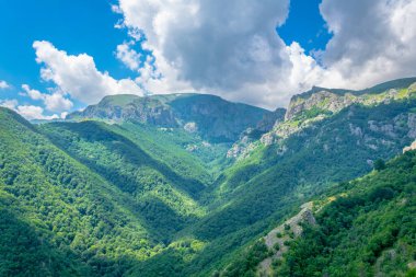 Bulgari 'deki Orta Balkan ulusal parkı