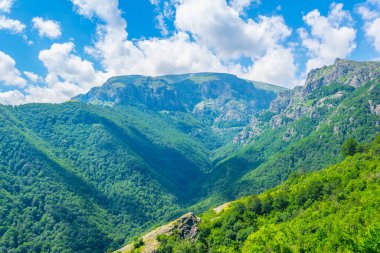 Bulgari 'deki Orta Balkan ulusal parkı