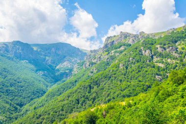 Central Balkan national park in Bulgari