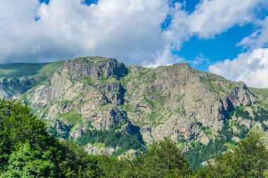 Bulgari 'deki Orta Balkan ulusal parkı