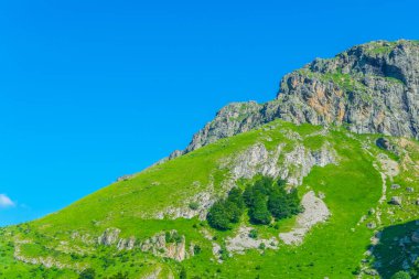 Bulgari 'deki Orta Balkan ulusal parkı